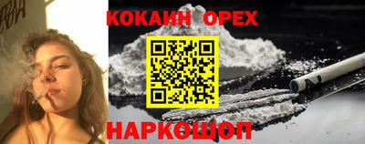 стаф Аргун
