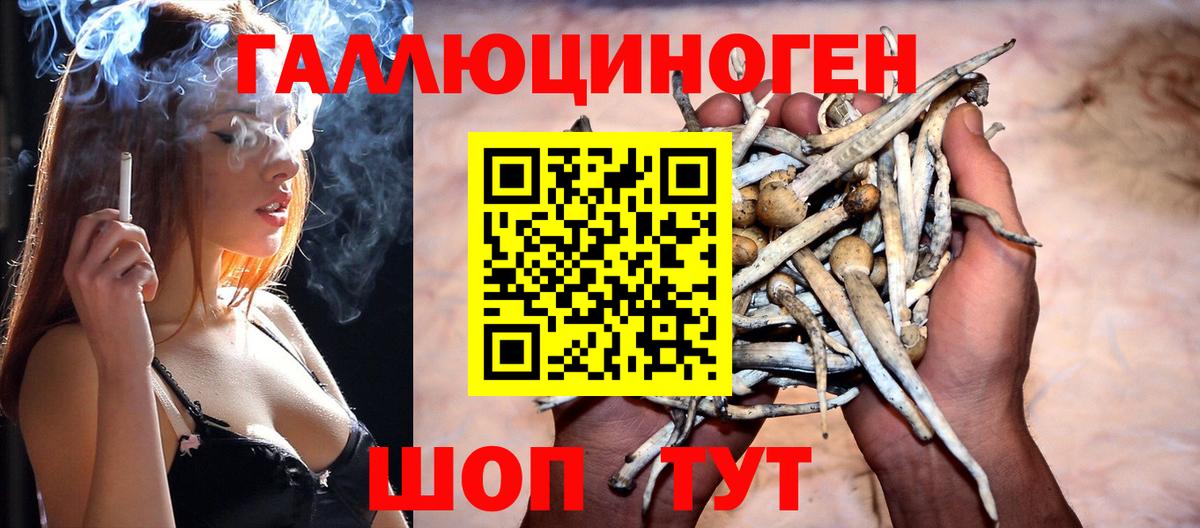 Галлюциногенные грибы Psilocybe Берёзовский