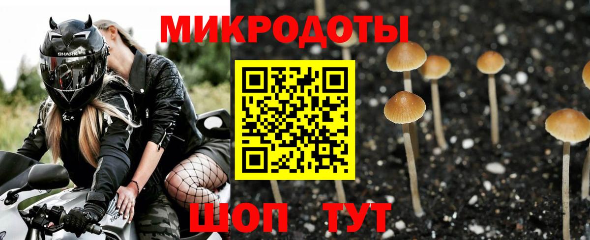 Берёзовский  Галлюциногенные грибы Psilocybine cubensis  Вход с VPN 