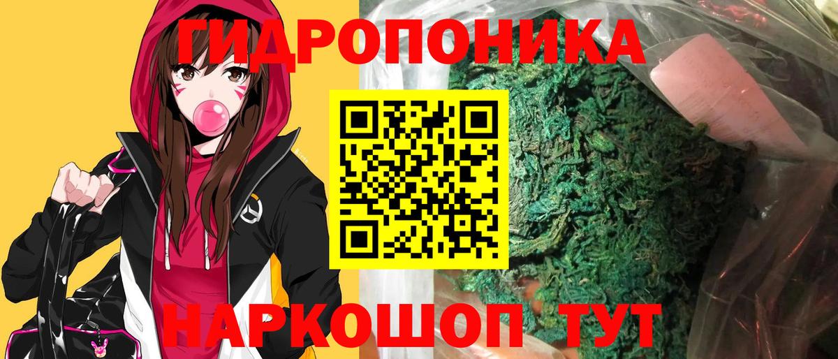 Каннабис сатива  Канабис ГИДРОПОН  Вход с VPN  Шишки марихуана VHQ  Шишки марихуана LSD WEED  Берёзовский 